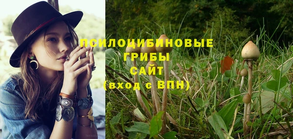 первитин Армянск