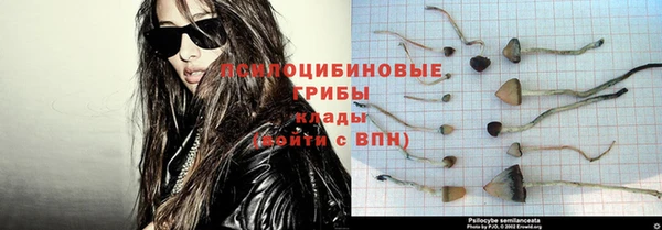 соль ск Аркадак